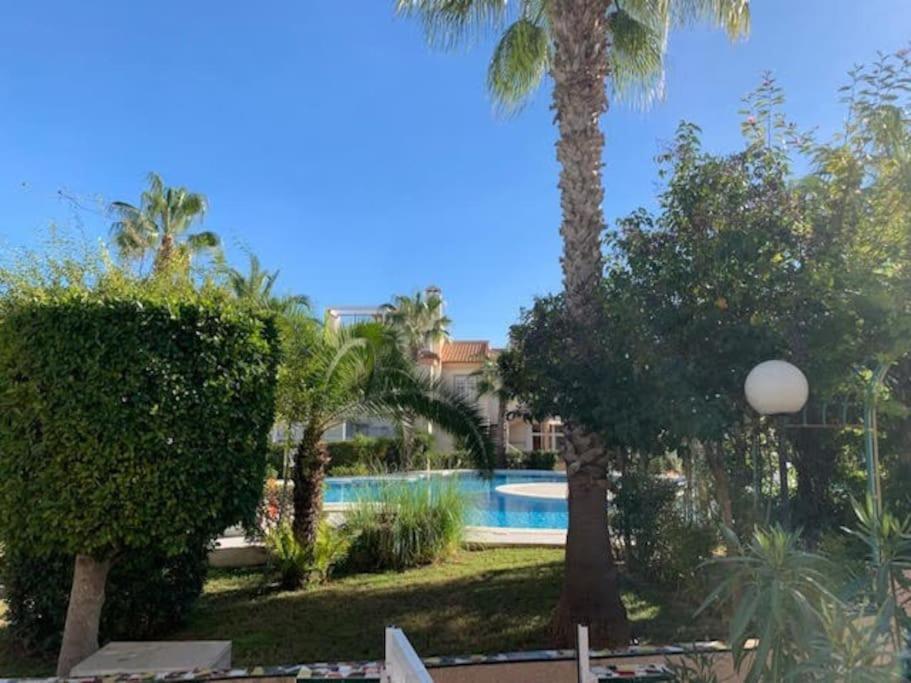 Schoenes Ferienbungalow In Los Altos Τορεβιέχα Εξωτερικό φωτογραφία